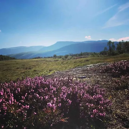 The Olav-house From 1840, At Farm Ellingbo * Vang I Valdres