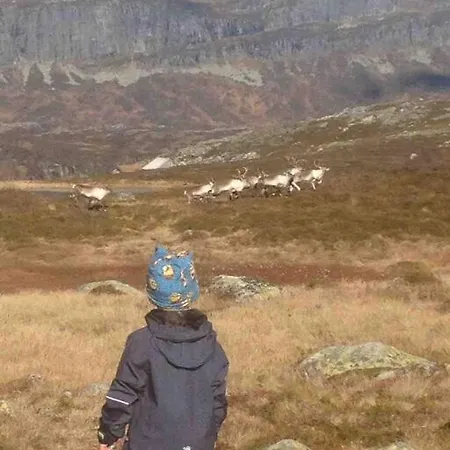 The Olav-house From 1840, At Farm Ellingbo