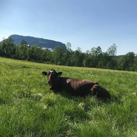 The Olav-house From 1840, At Farm Ellingbo *