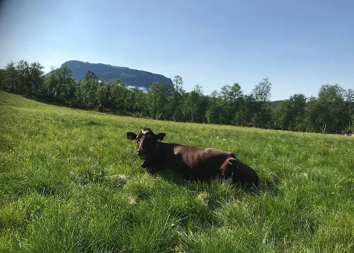 The Olav-house From 1840, At Farm Ellingbo *