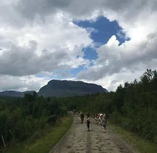 The Olav-house From 1840, At Farm Ellingbo בית נופש Vang I Valdres