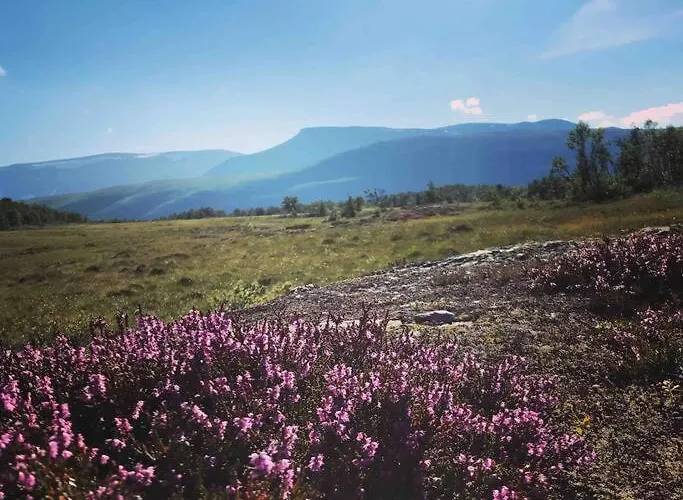 The Olav-house From 1840, At Farm Ellingbo * Vang I Valdres