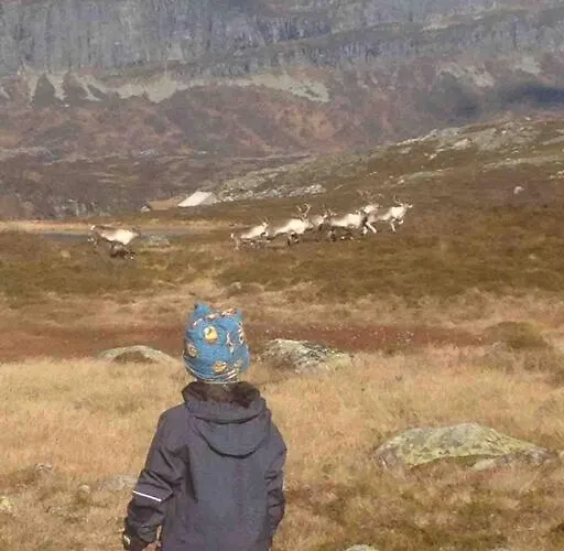 The Olav-house From 1840, At Farm Ellingbo